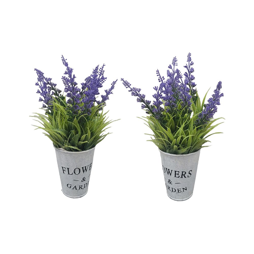 2 Piantine Lavanda con Vasetto in Metallo | Domus Zone